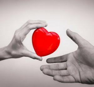Don d'organes : tous donneurs par défaut